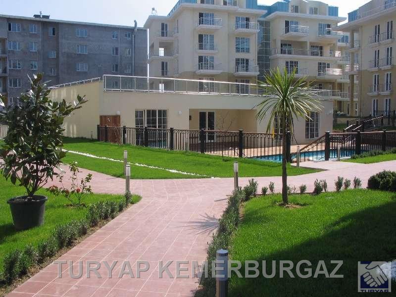  Artel Forum - Turyap